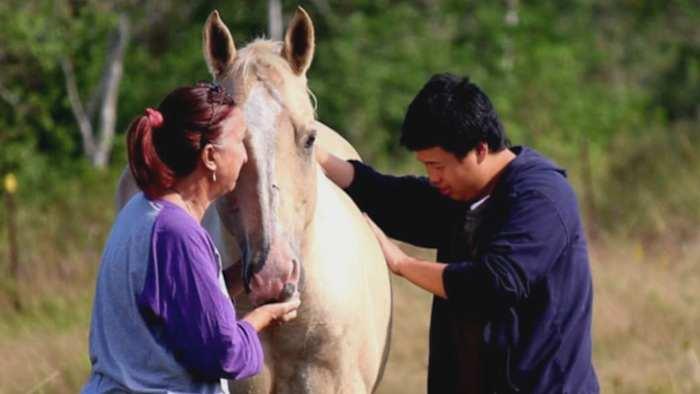 Rainbow of Hope Texas empowers youth with autism and veterans through nature and equine therapy